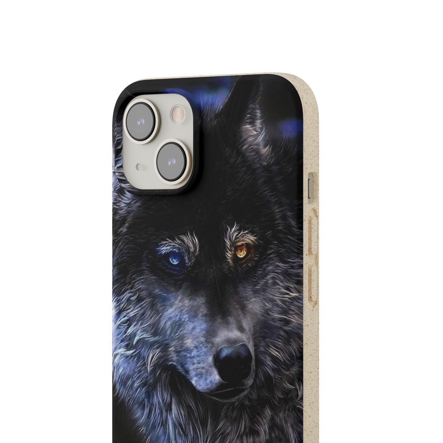 Ancient Spirit Cases