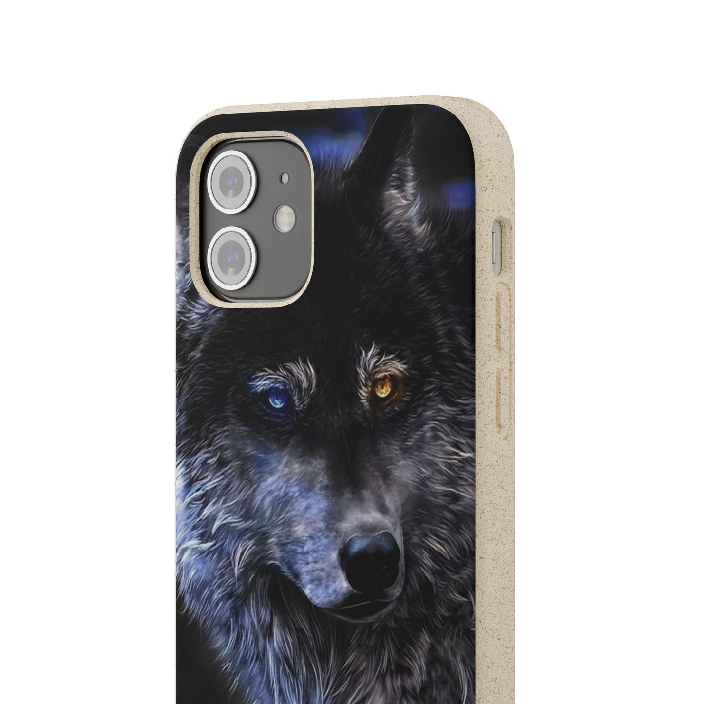 Ancient Spirit Cases