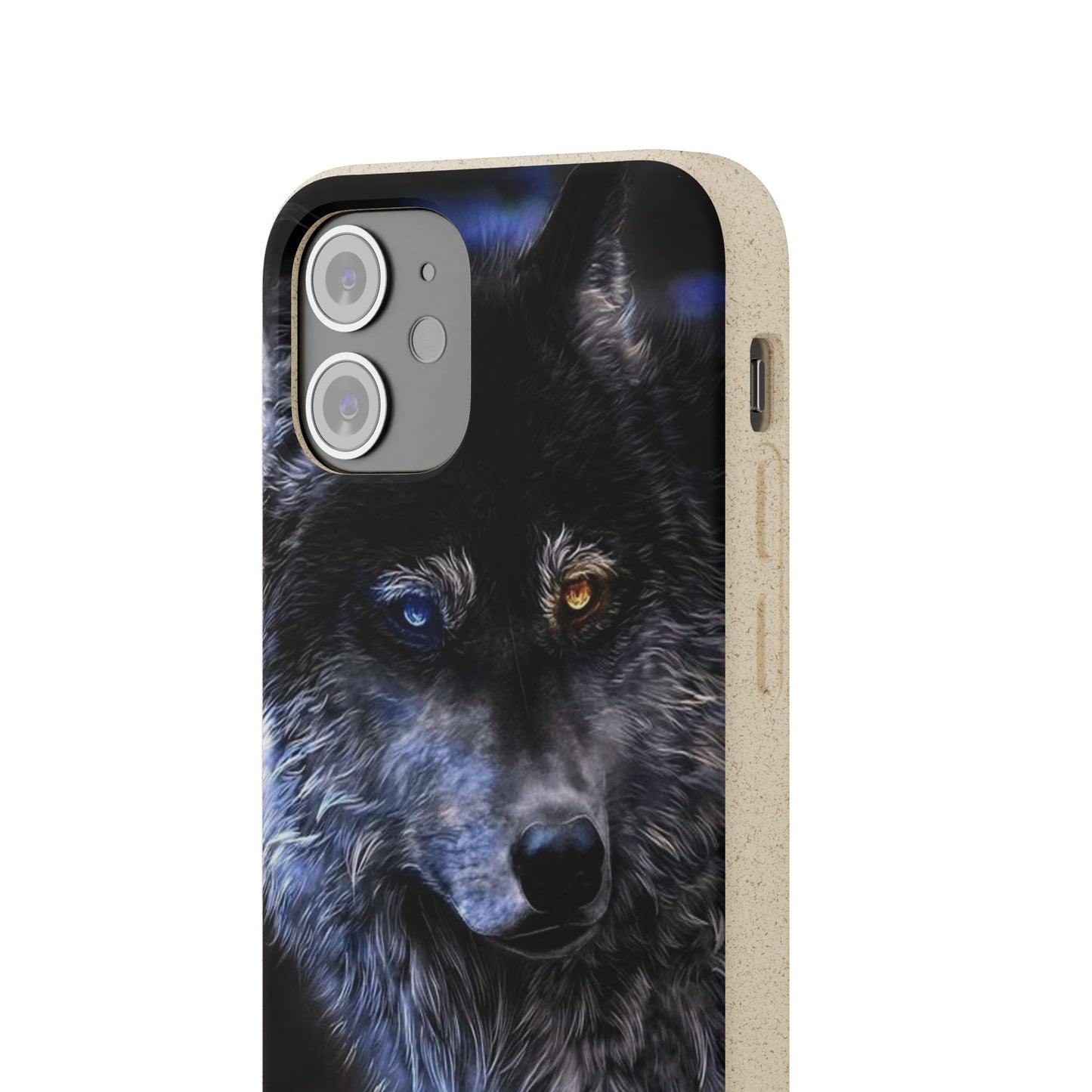 Ancient Spirit Cases