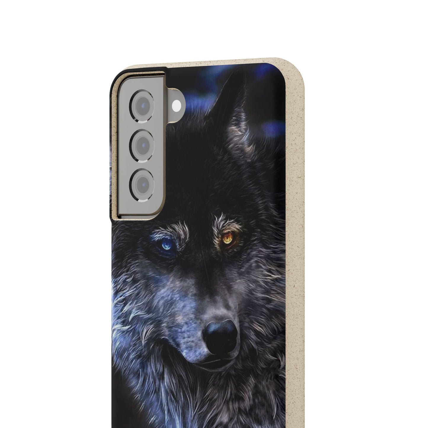 Ancient Spirit Cases