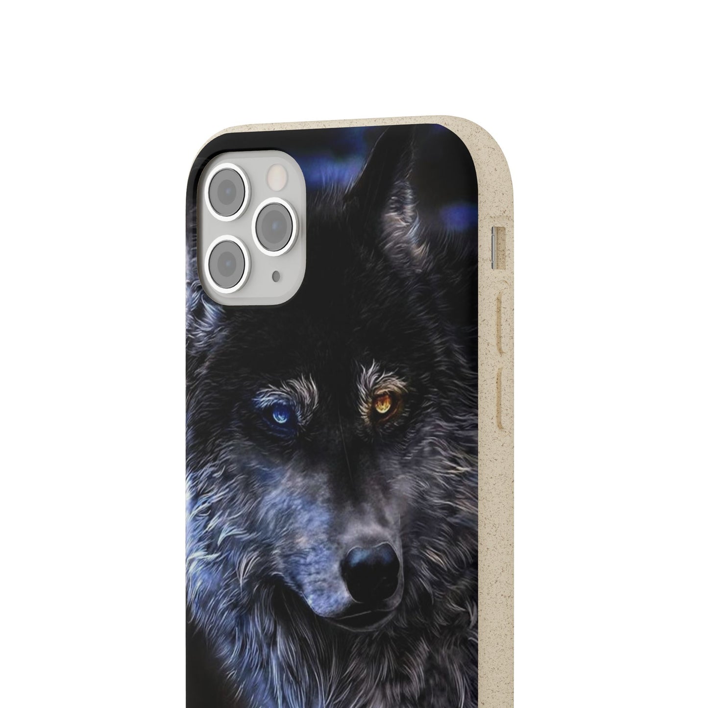 Ancient Spirit Cases