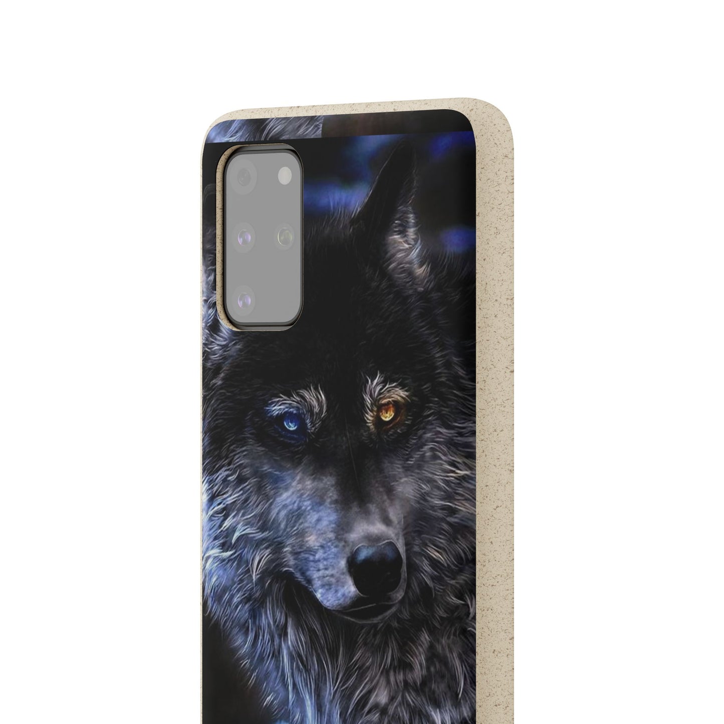 Ancient Spirit Cases