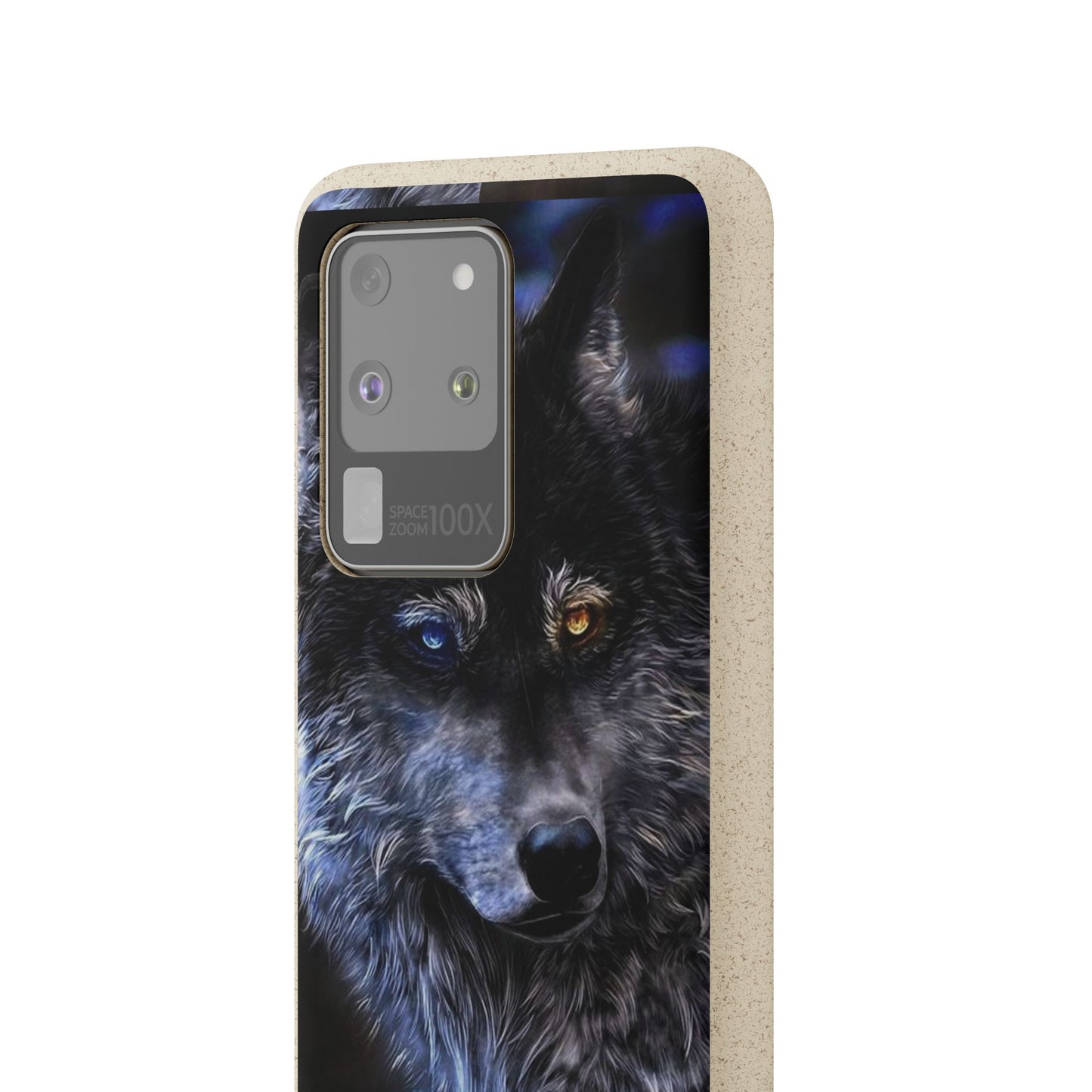 Ancient Spirit Cases