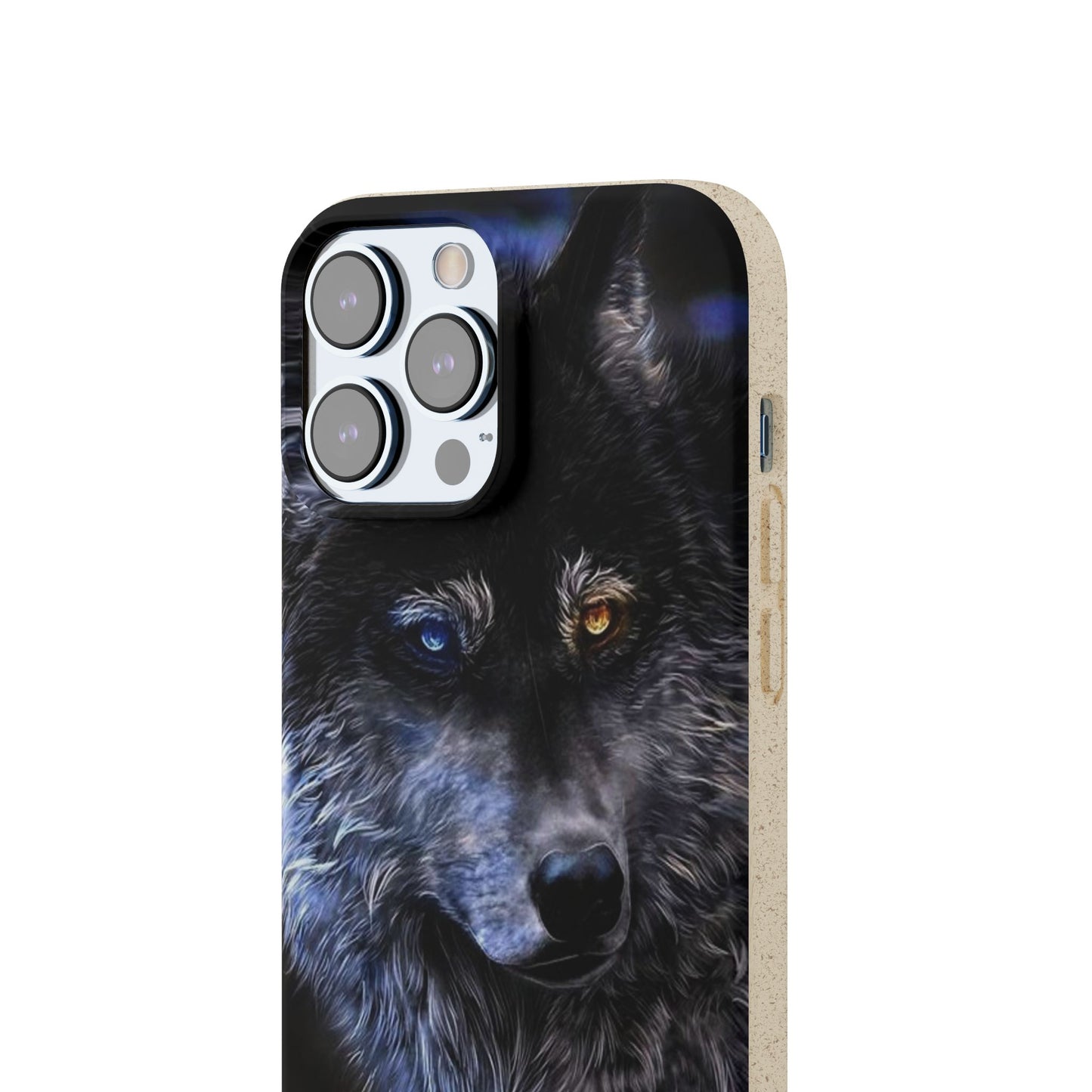 Ancient Spirit Cases