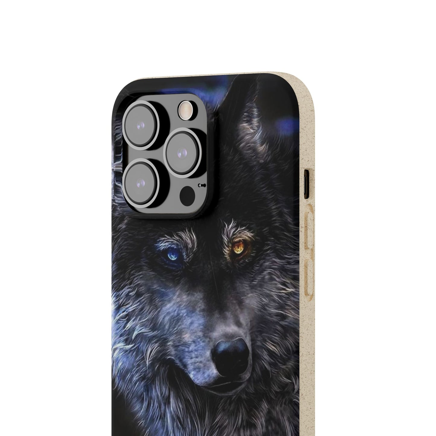 Ancient Spirit Cases