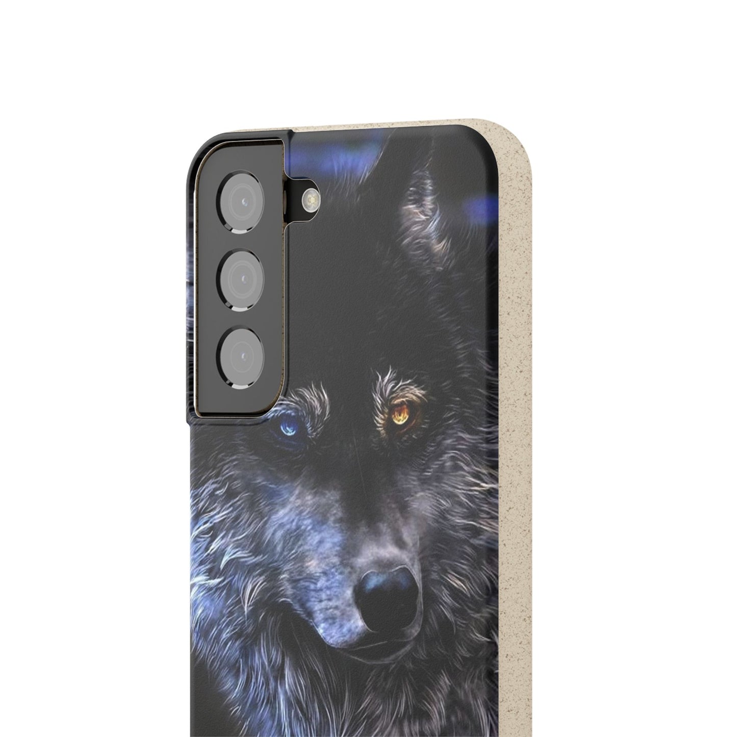 Ancient Spirit Cases