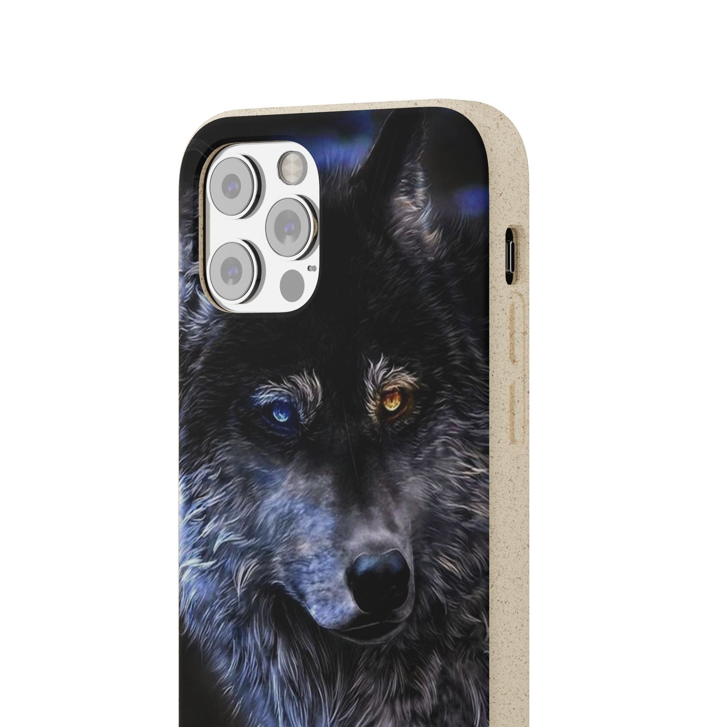 Ancient Spirit Cases