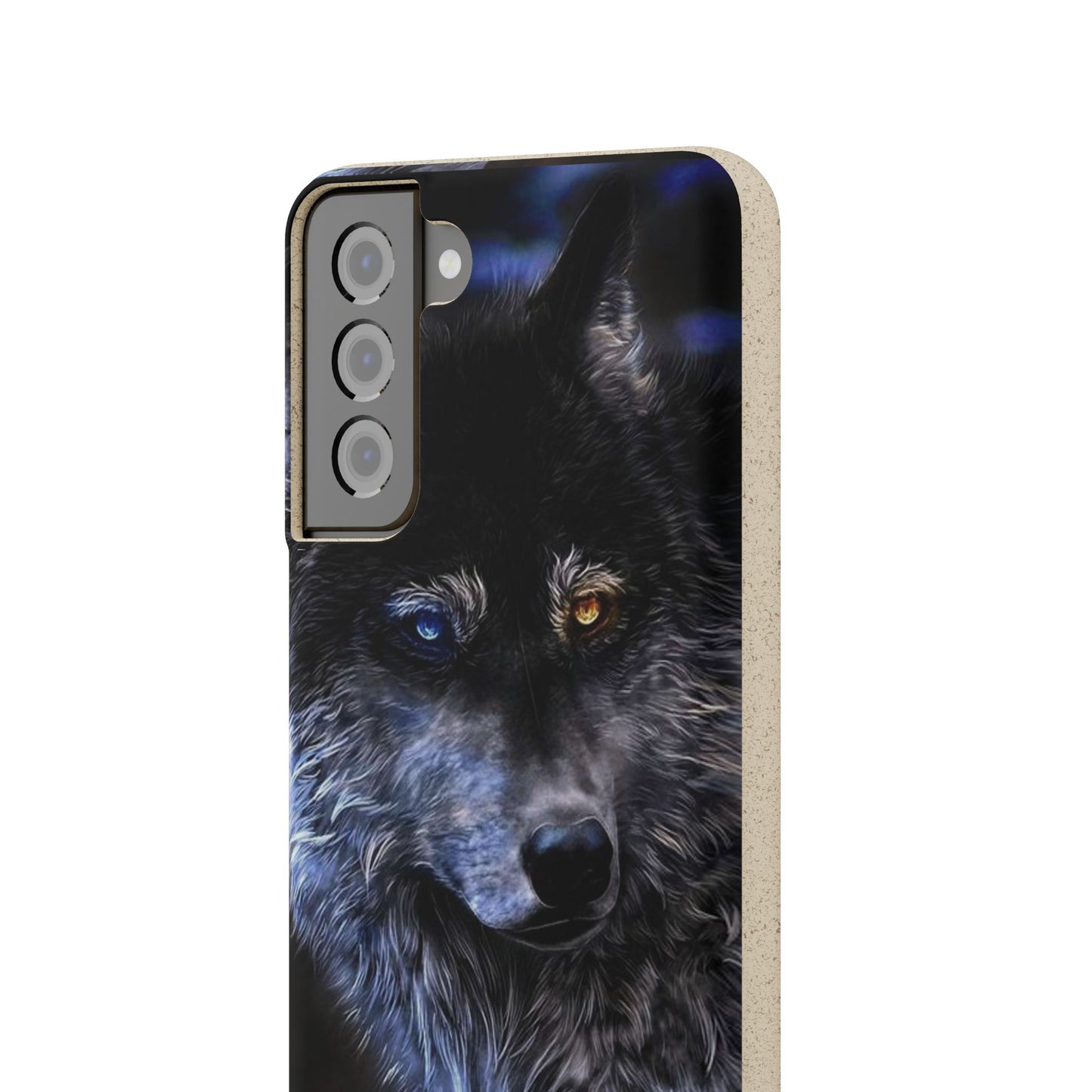 Ancient Spirit Cases