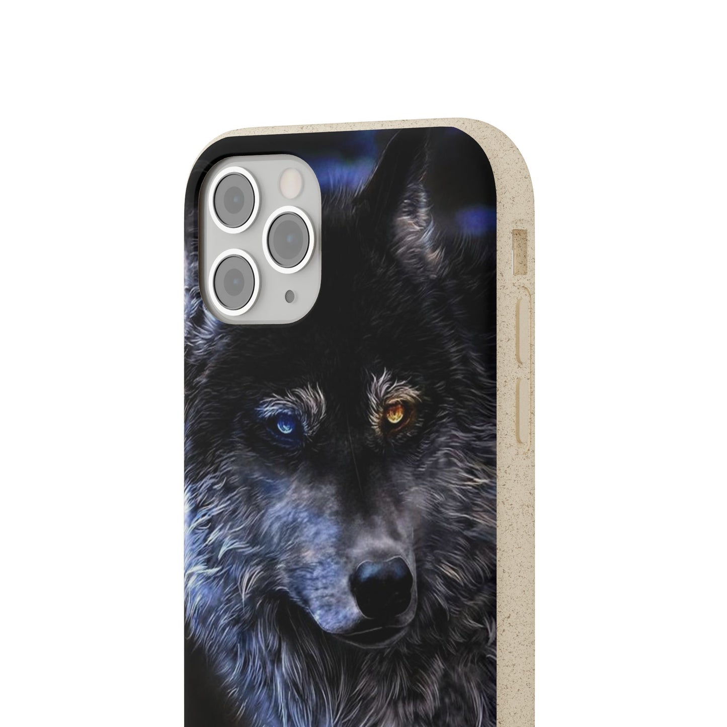 Ancient Spirit Cases