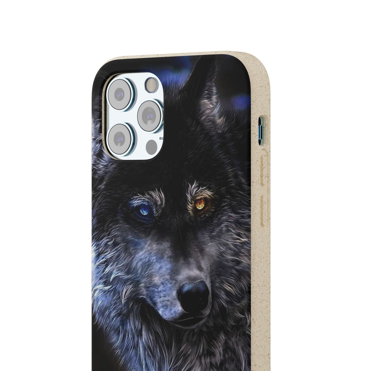 Ancient Spirit Cases